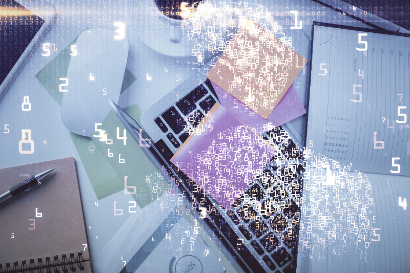 תוכנית חבצלות משכורת